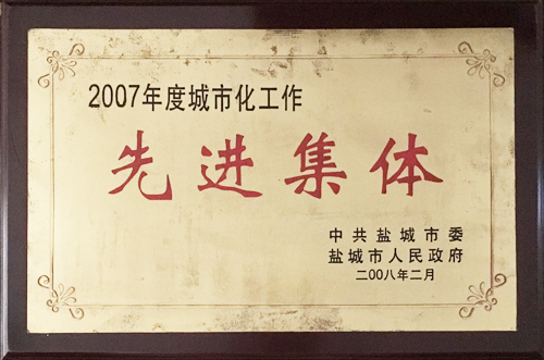 2008年2月城市化工作“先进集体”.jpg